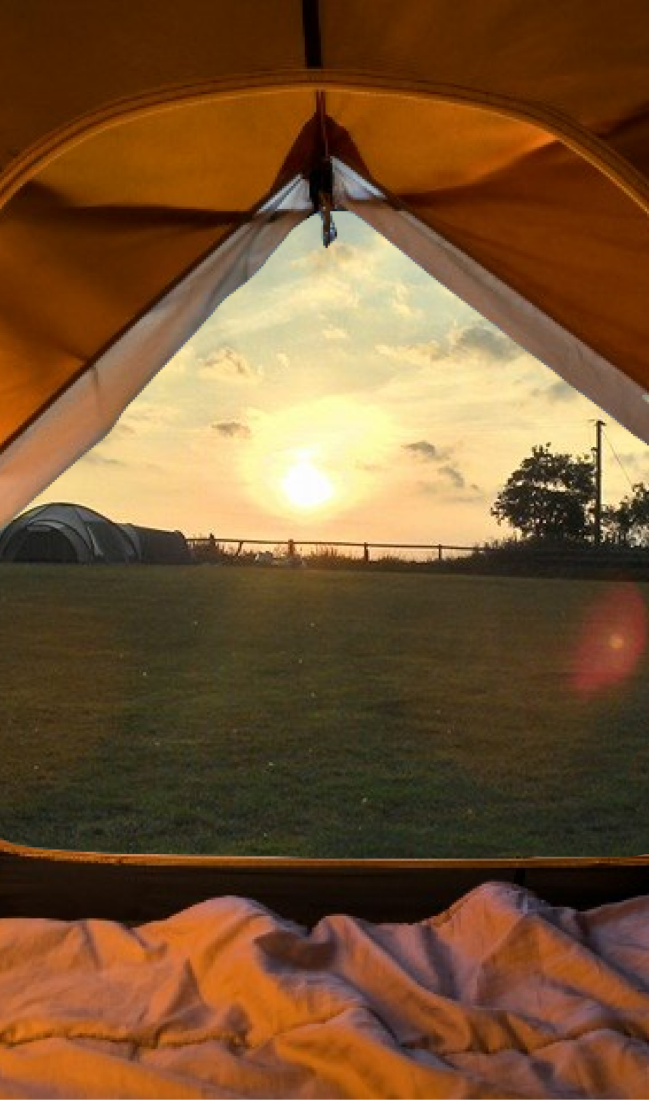 Campsite view from a tent